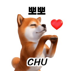 3D Shiba Inu A