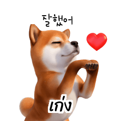 Doge Korean Thai B