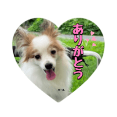Hana_20221101155908