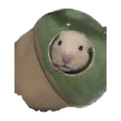 Namaham4