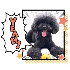 yuka_20221101175612