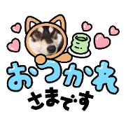 komame_20221101222524