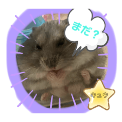nanairo_20221101182122