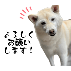 arisa_20221101183920