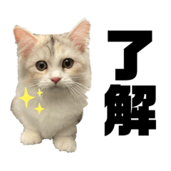 rina_20221101193552