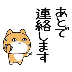 5JITOMEinu23