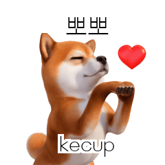 Cute Puppy Shiba Inu Doge KR ID