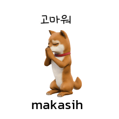 Cute Puppy Shiba Inu Doge KR ID C