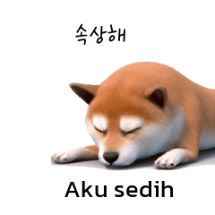 Cutie Puppy Shiba Inu Doge KR ID