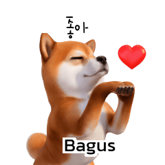 Cutie Puppy Shiba Inu Doge KR ID E