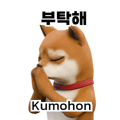 Cute Puppy Shiba Inu Doge KR ID D