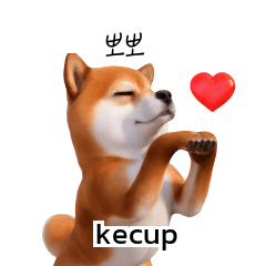 Cutie Puppy Shiba Inu Doge KR ID C