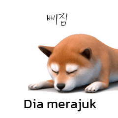 Cutie Puppy Shiba Inu Doge KR ID B