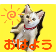 arisa_20221102011325