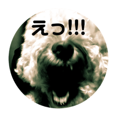 Yamazaki_20221101185537