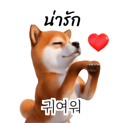 Shiba Inu Dogs KR TH