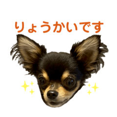 mame_0616