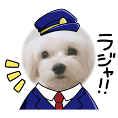 hikaru_20221101214808