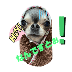 saori_20221101212040