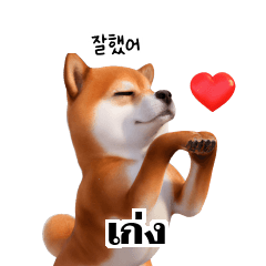 Cute Shiba Inu Dogs 3