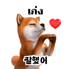 Shiba Inu Dogs TH KR 3