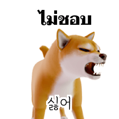 Shiba Inu Thai Korean TH KR