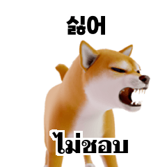 Shiba Inu Dogs TH KR 2