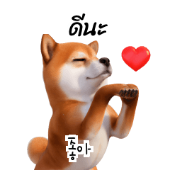 3D Shiba Inu TH KR 1