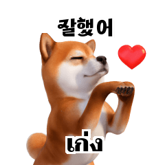 Shiba Inu Doge KR TH 1