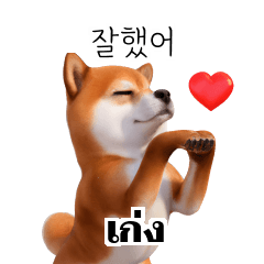 Shiba Inu Dogs 1