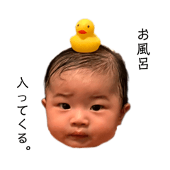 Aozora_20221102112133