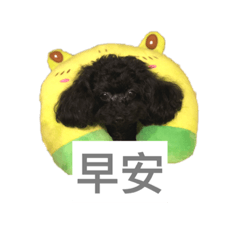 毛毛小公舉