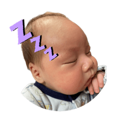 Tanaka family stamp ver1