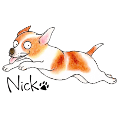 Nick the Jack Russell Terrier