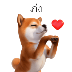 3D Shiba Inu TH