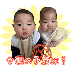 WADAKE STICKER