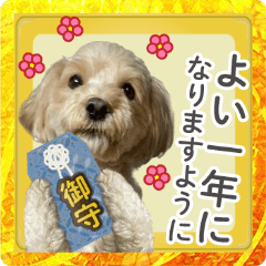 move! Dog Maru-chan New Year