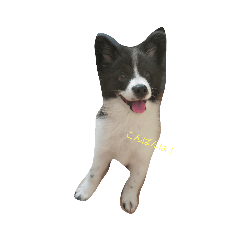 hana_20221102185729