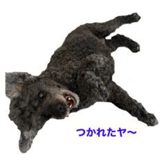 ton_20221102191845