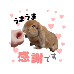 alice_20221103024525