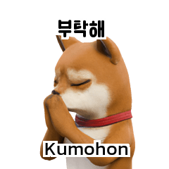 Cutie Puppy Shiba Inu Doge KR ID A