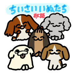 Cute tiny dogs