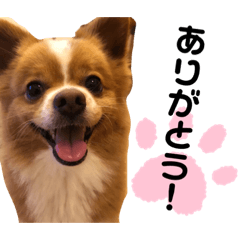 mamesuke_20221102205310