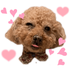 hikari_20221102215342