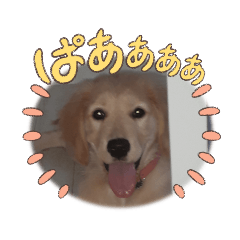 MOMOKO_20221102220234