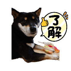 suzu_20221102231601