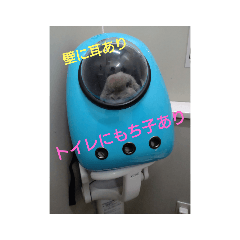 kinaco_20221102213328