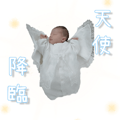 Shia sticker