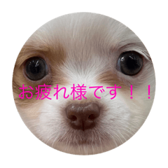 mocomoco_ta