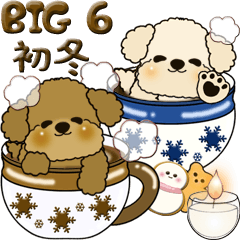 【Big】プードル 6『初冬』